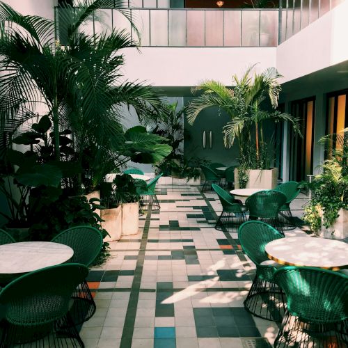 A sunlit indoor patio with green chairs, white tables, and lush plants lining the tiled pathway, creating a serene atmosphere.