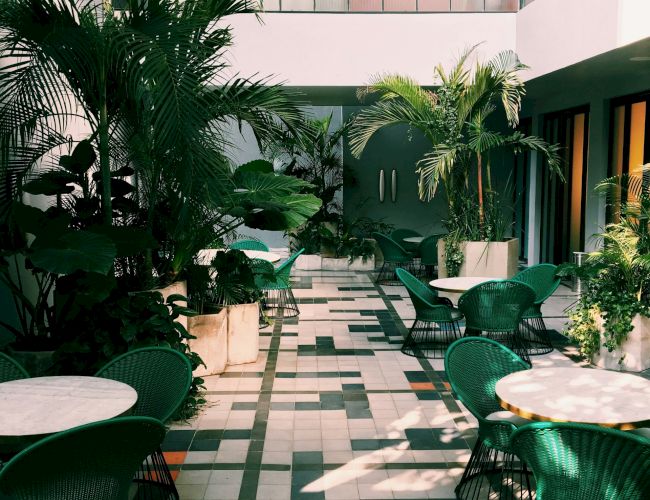 A sunlit indoor patio with green chairs, white tables, and lush plants lining the tiled pathway, creating a serene atmosphere.